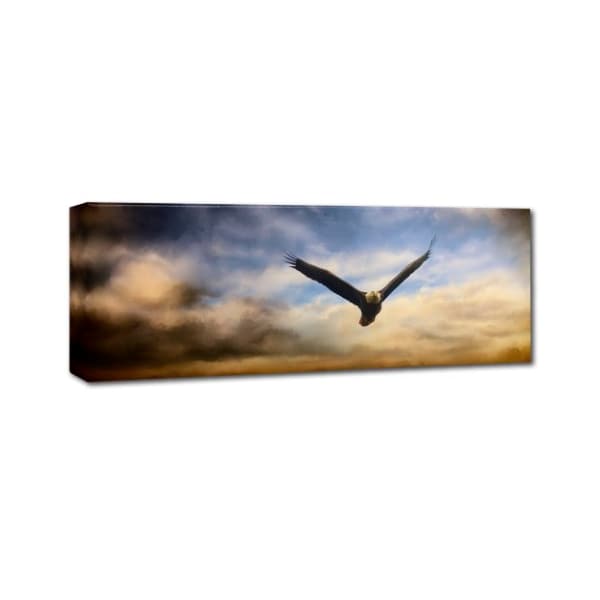 Jai Johnson 'Sunset Flight' Canvas Art,8x24